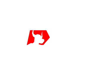 xm.com
