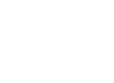 Mint.io