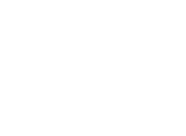 Punt