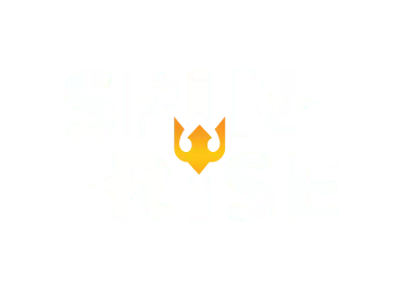 SpinRise