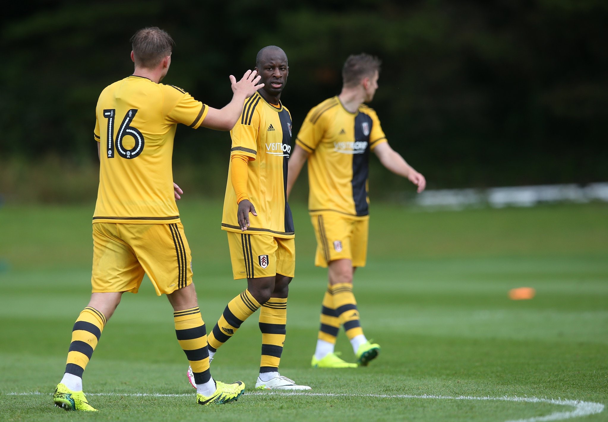 Aluko’s Fulham Round Off Pre-season Against Crystal Palace Aluko’s Fulham Round Off Pre-season Against Crystal Palace