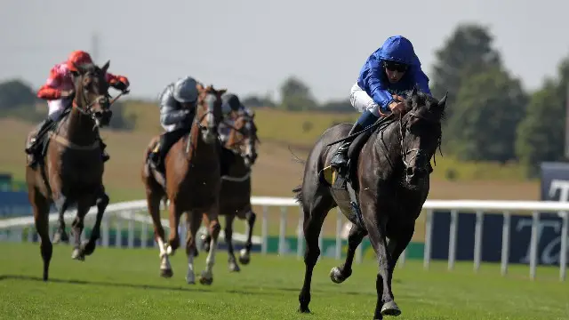 Hamada Off Down Under After Newbury Glory Hamada Off Down Under After Newbury Glory