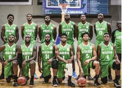 FIBA World Cup: Nwora Vows To Pick The Best Players For D’Tigers