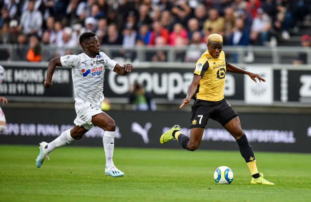 Osimhen Backs Lille To Bounce Back From Away Loss To Amiens