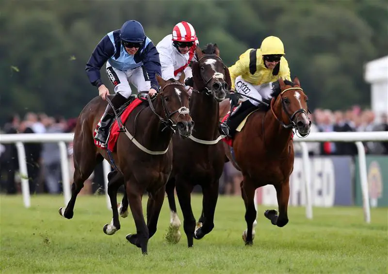 Danzeno Unlikely For Gold Cup
