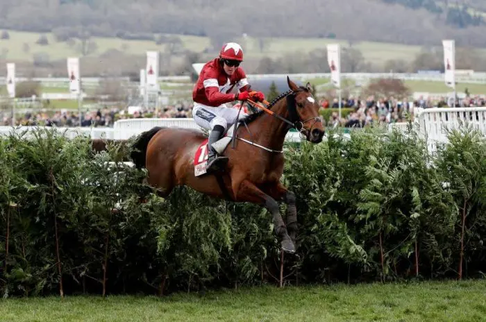 Tiger Roll Set For Aintree Return Tiger Roll Set For Aintree Return