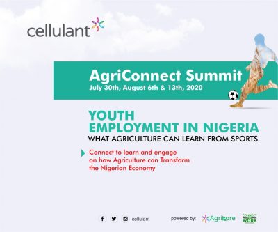 agriculture-is-the-now-but-it-must-learn-vital-lessons-sports-sector-gain-encourage-youth-participation-patronage