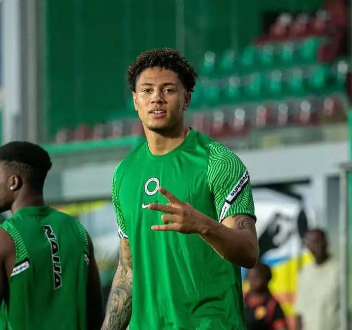 2022 WCQ: Okoye Optimistic Of Victory Against Cape Verde