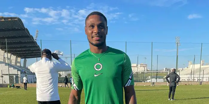 I Told Rohr To Stick With Young Strikers In Eagles -Ighalo