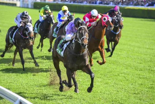 History Of All-Star Mile Race For The Autumn Racing Carnival –