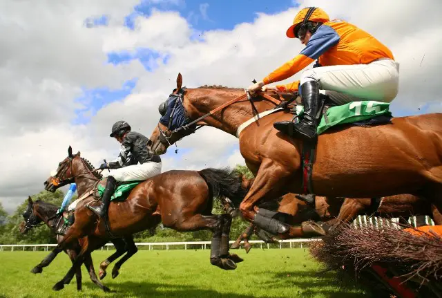 Dissecting The Triumph Hurdle Hopes
