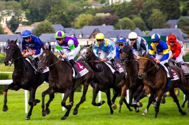 's Werelds grootste paardenraces