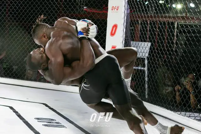 MMA Fight Night