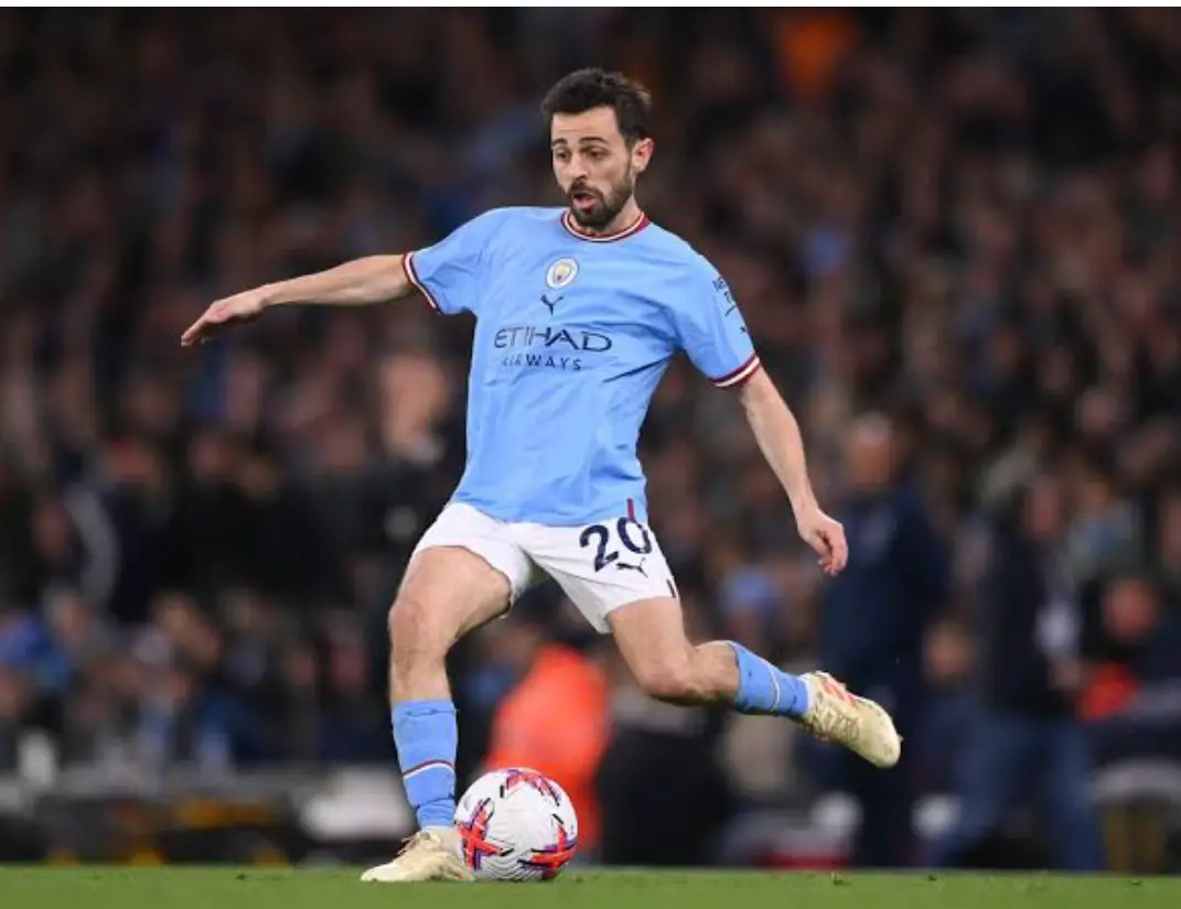 Ligue 1 More Physical Than Premier League  —Bernardo Silva