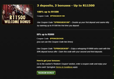 springbok casino welcome bonus