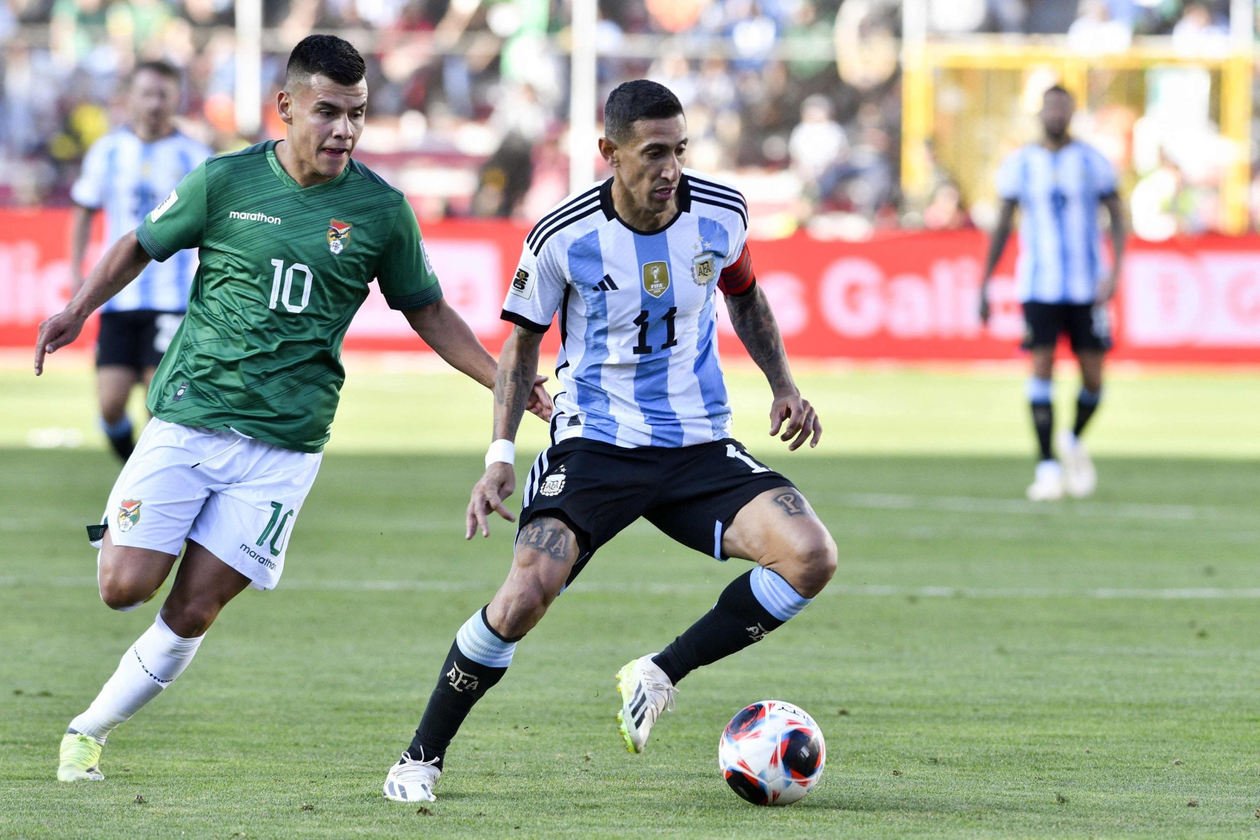 WCQ 2026: Enzo, Gonzalez, Taglaficao punkten als Argentinien gegen Bolivien