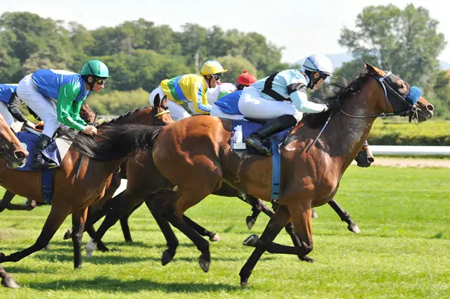 Retraite des chevaux de course
