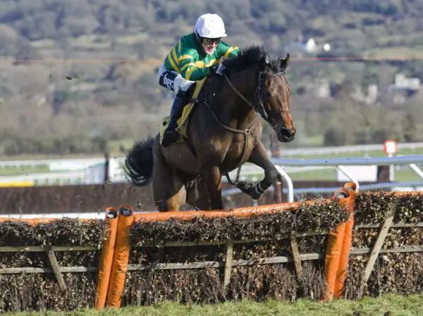 Unveiling The Contenders: A Deep Dive Into The Paddy Power Stayers’ Hurdle Favourites
