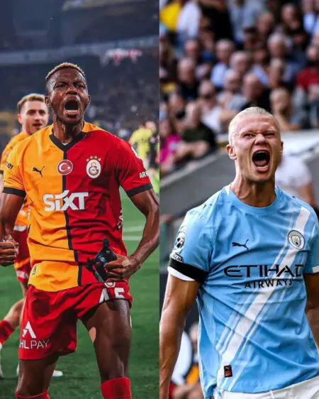 Bassey: Osimhen, Haaland At Same Level