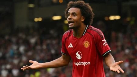 Don’t Sign Zirkzee –Galli Warns AC Milan