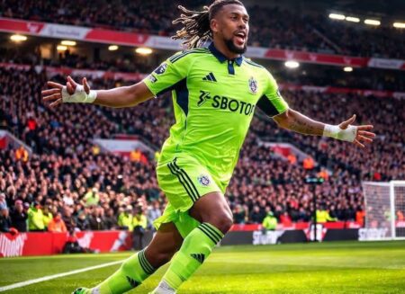 Iwobi Elated To Help Fulham Beat Sunderland