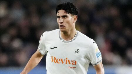 Stamenic Leads Swansea To Victory Over Watford Stamenic