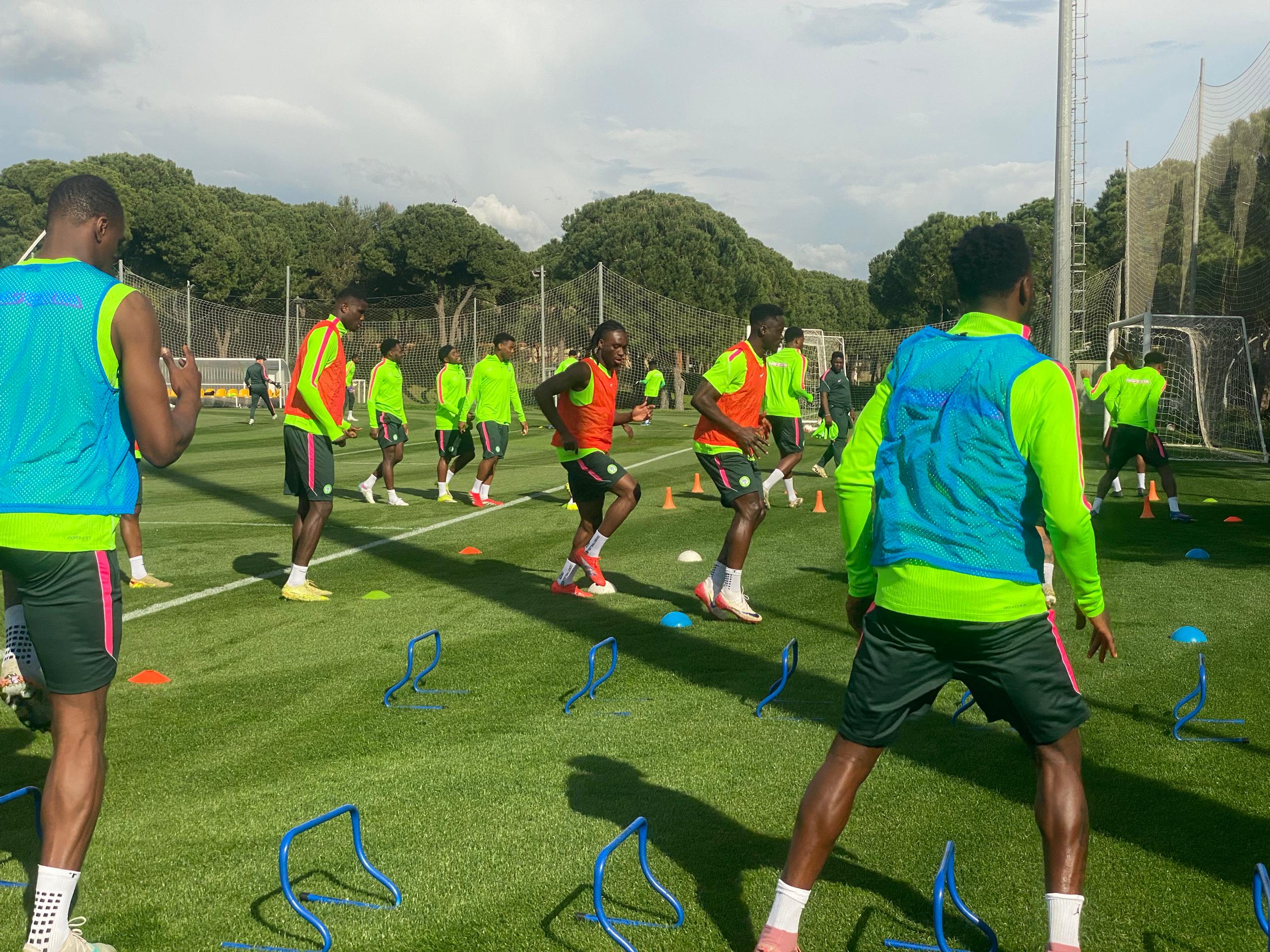 Friendlies: Super Eagles Must Prove World Cup Worth Against Iran, Jordan — Iroha