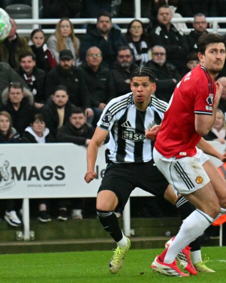 NFF Approaches Newcastle United Striker Over Super Eagles Switch