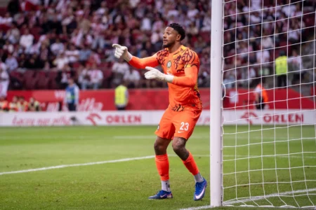Friendly: Okoye Was Brilliant In Eagles Loss Against Portugal –Lawal