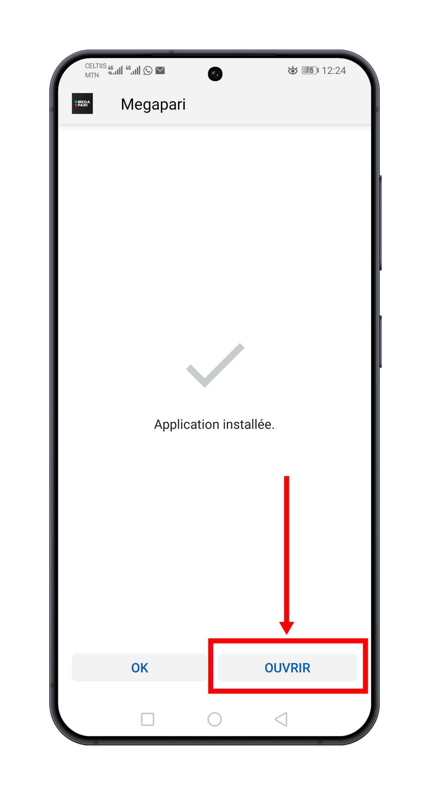 5. Ouvrez l'application et connectez-vous