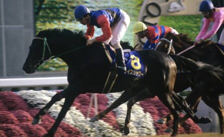 The Most Popular Horse Racing Events of the Year