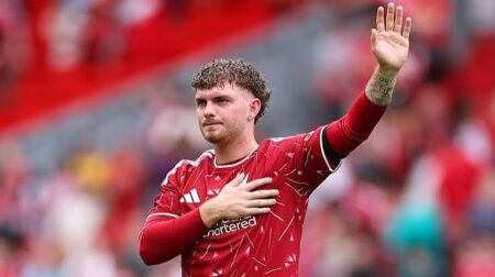 Don’t Hesitate To Leave Liverpool –McCoist Advises Elliott