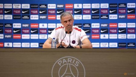 PSG Coach Expresses Concern Over Damaged Parc des Princes Pitch