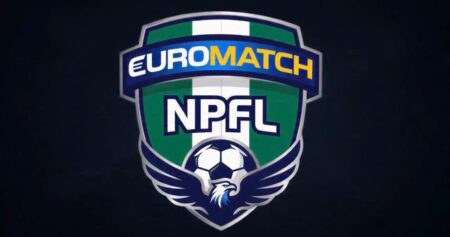 Euromatch NPFL: Coaches, Officials Face Sanctions Over Disparaging Interviews