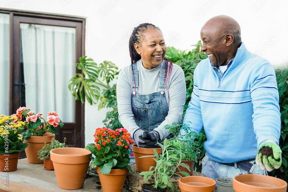empty nesters
