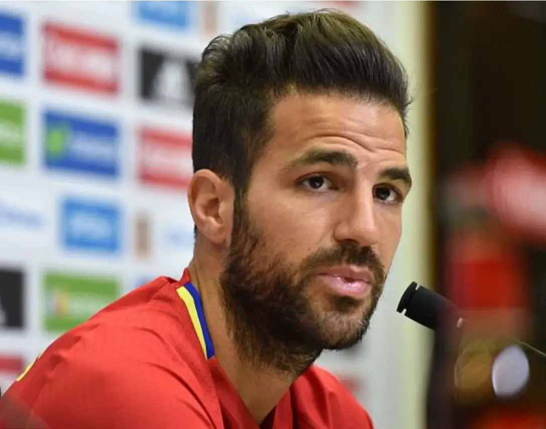 Fabregas Returns To Arsenal