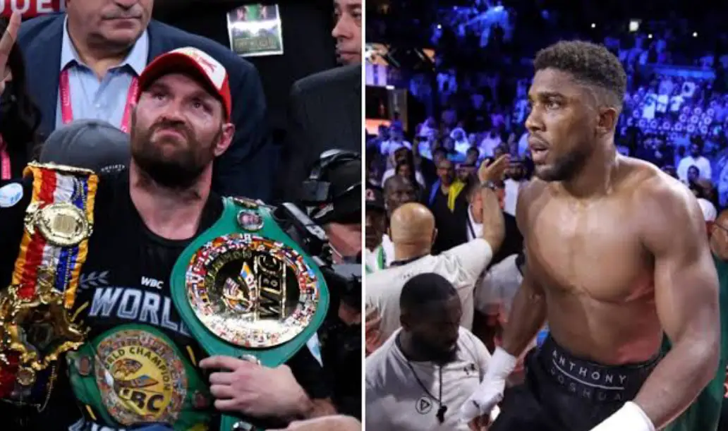 Fury Calls Out Joshua For World Title Fight