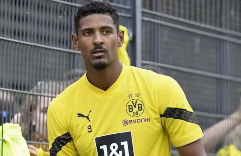 Dortmund New Signing Haller Diagnosed With Testicular Tumour