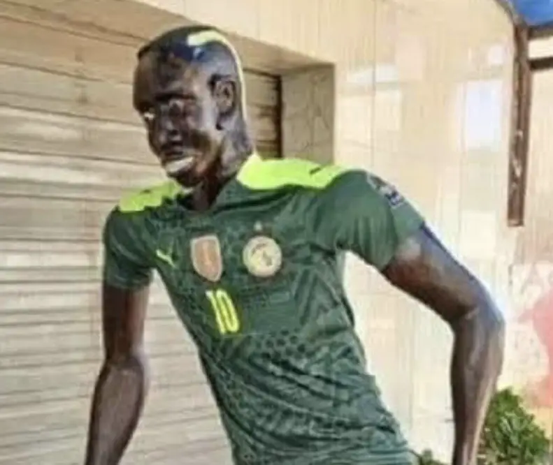 Senegal Teranga Lions iconic jerseys