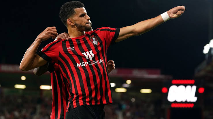 Bournemouth Boss Parker Raves About Solanke